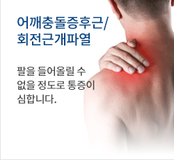 어깨충돌증후근/회전근개파열 팔을 들어올릴 수 없을 정도로 통증이 심합니다.