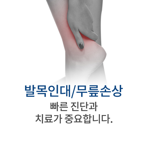 발목인대/무릎손상 휘어진 다리에서 시작되는 통증